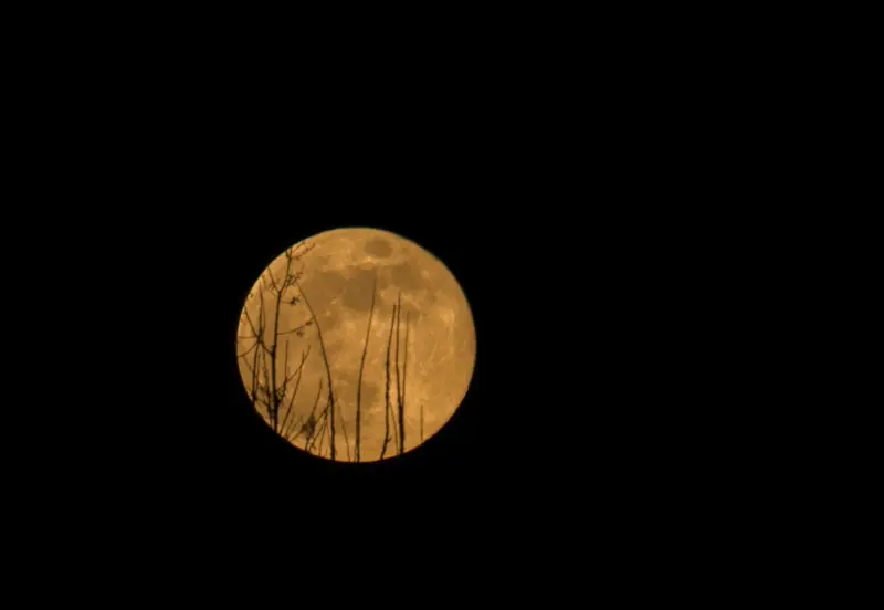 Vollmond
